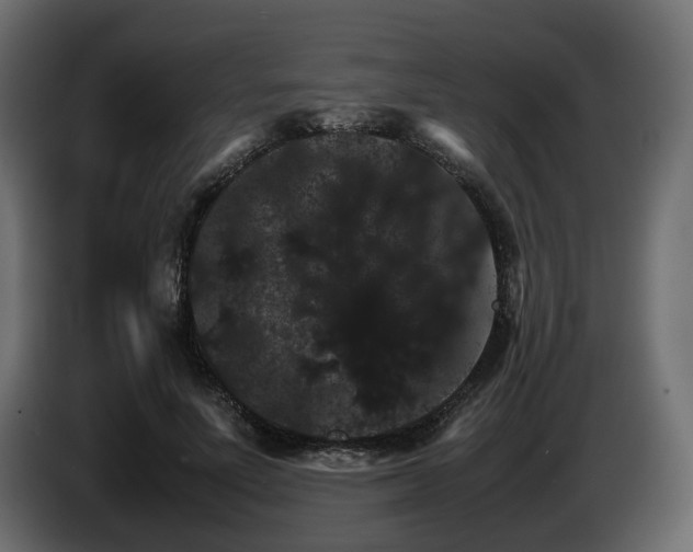 X0000085840691200703231443
