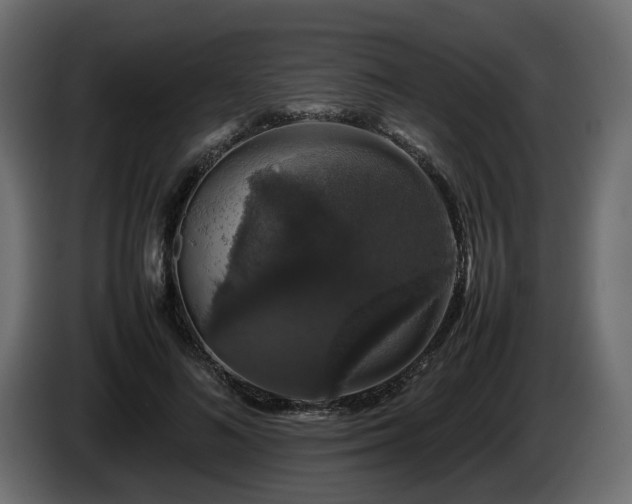 X0000085840692200703231443