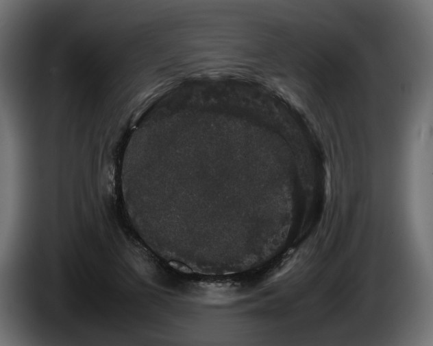 X0000085840693200703231443