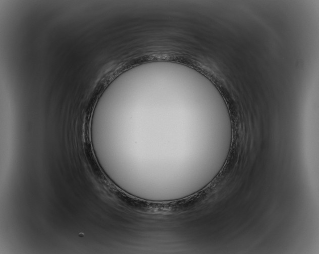 X0000085840694200703231443