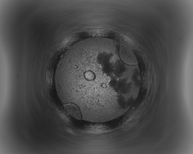 X0000085840695200703231443