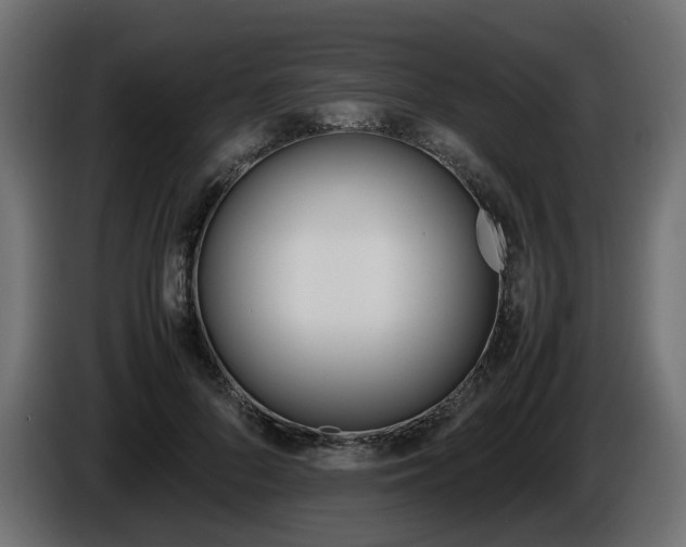 X0000085840696200703231443