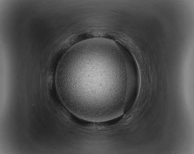 X0000085840697200703231443