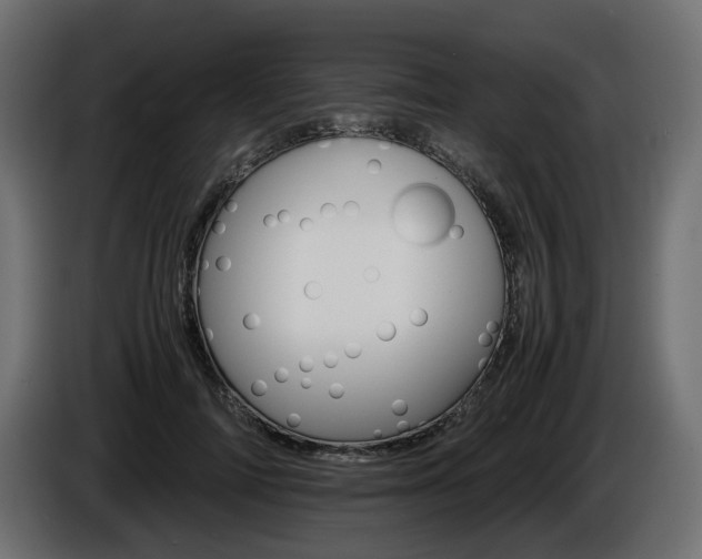 X0000085840698200703231443