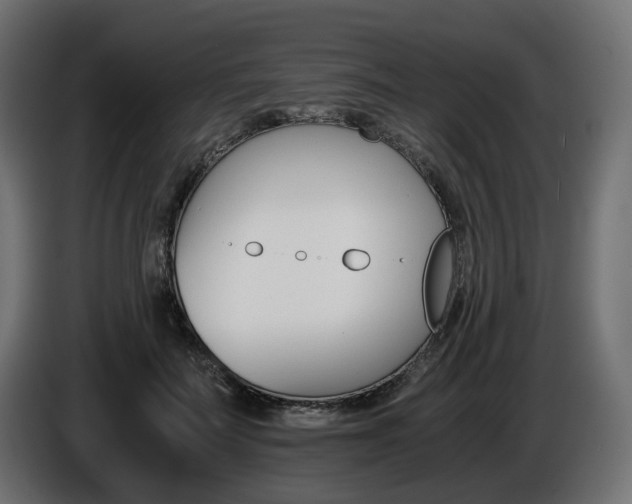 X0000085840699200703231443