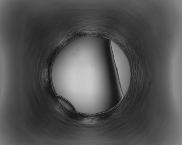 X0000085840700200703231443