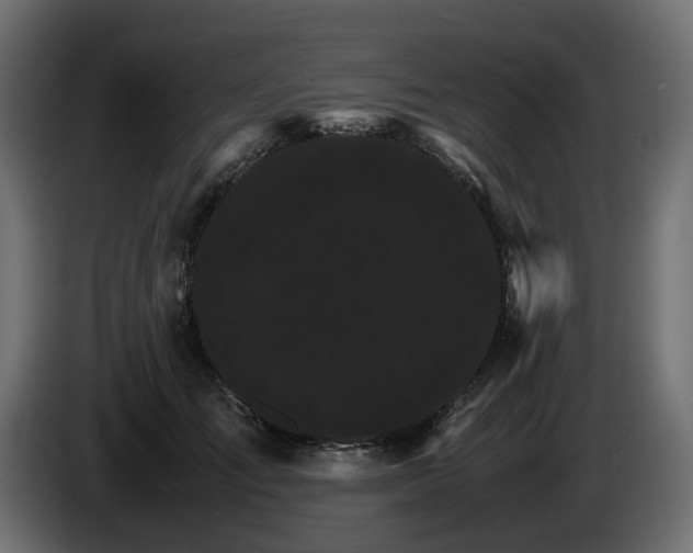 X0000085840701200703231443