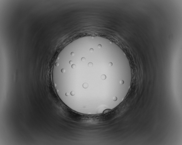 X0000085840702200703231443