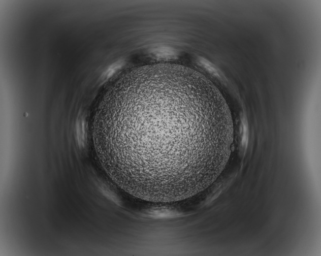 X0000085840704200703231443