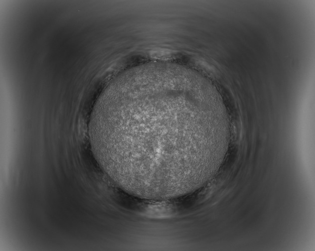 X0000085840705200703231443