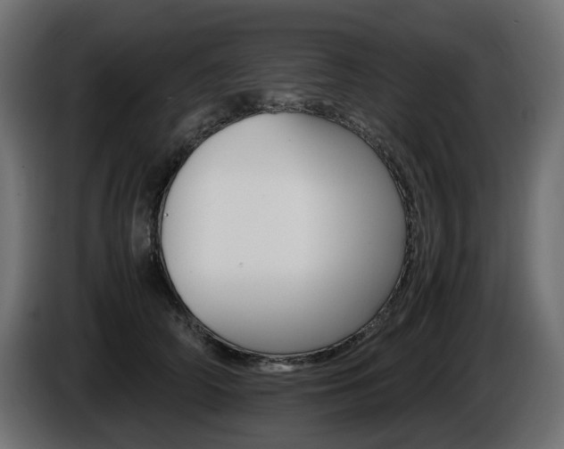 X0000085840706200703231443