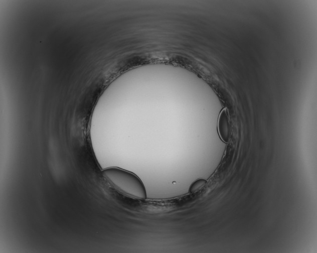 X0000085840707200703231443