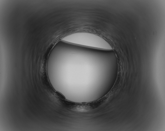 X0000085840708200703231443
