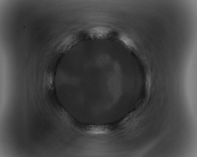 X0000085840709200703231442