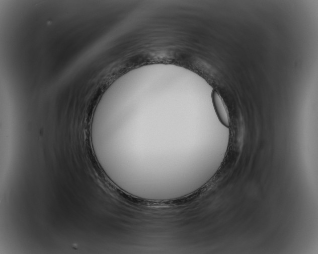 X0000085840710200703231442