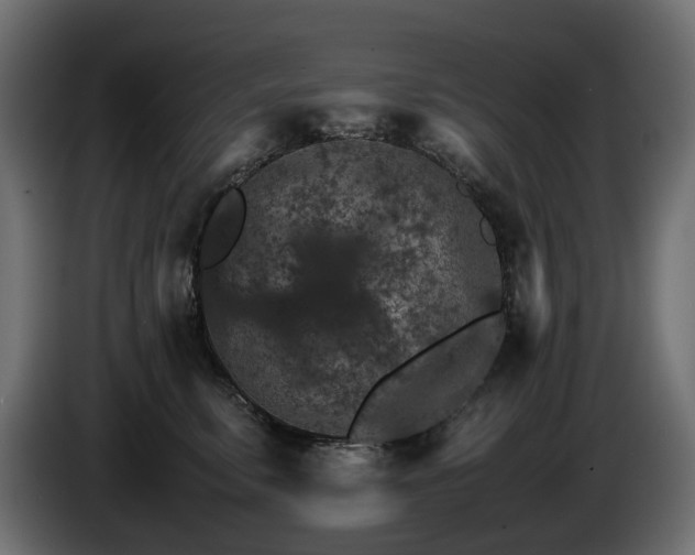 X0000085840711200703231442