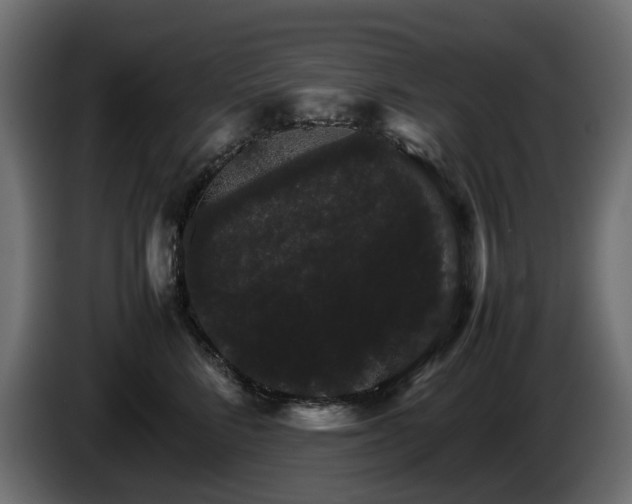 X0000085840712200703231442