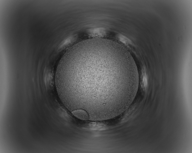 X0000085840714200703231442