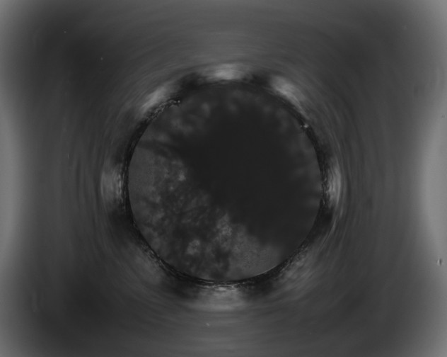 X0000085840715200703231442