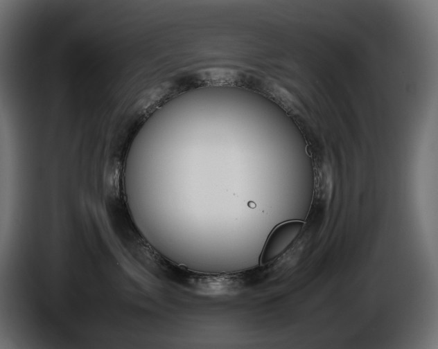 X0000085840717200703231442