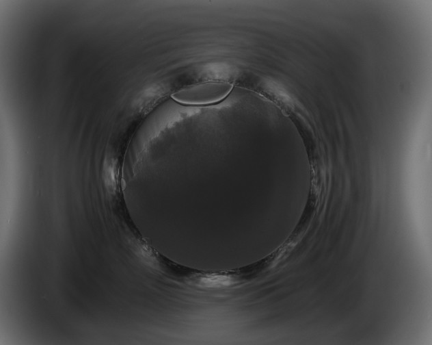 X0000085840718200703231442