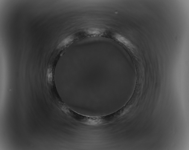 X0000085840720200703231442