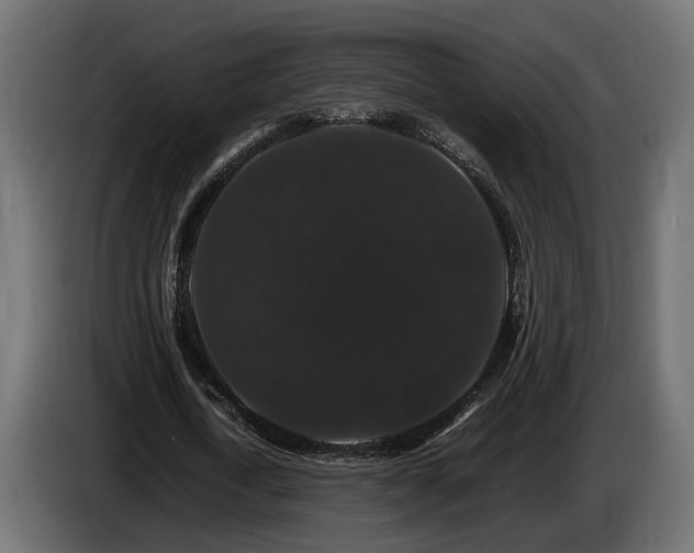 X0000085840722200703231442