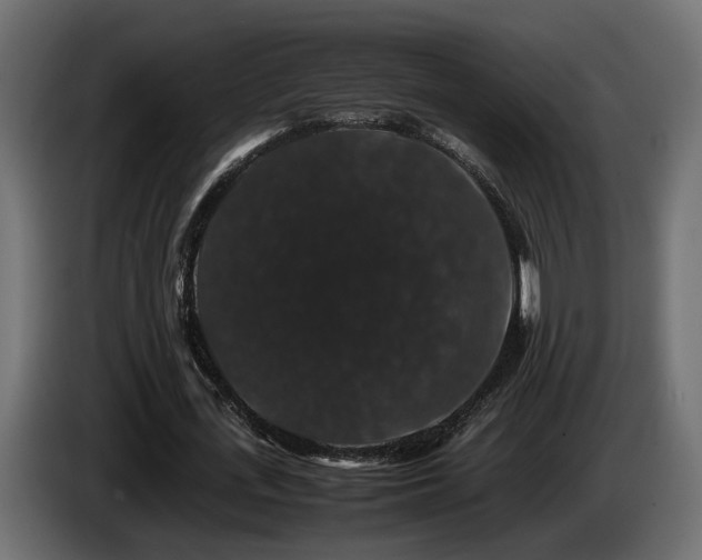 X0000085840723200703231442