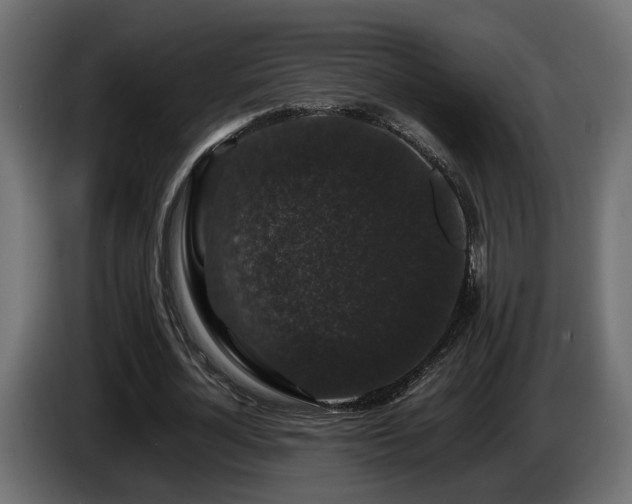 X0000085840724200703231442