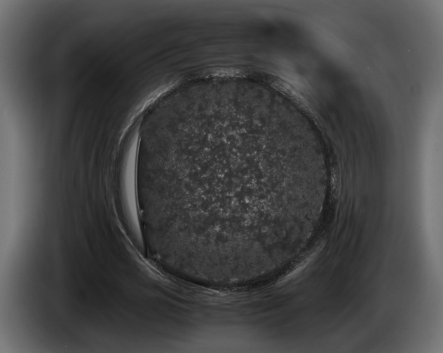 X0000085840725200703231442