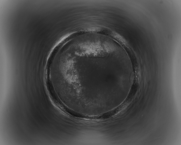 X0000085840726200703231442