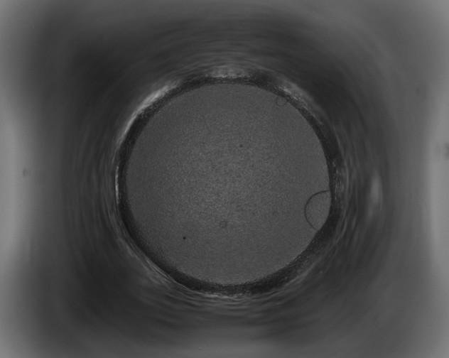 X0000085840727200703231442