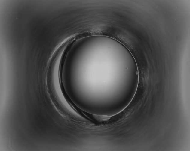 X0000085840728200703231442