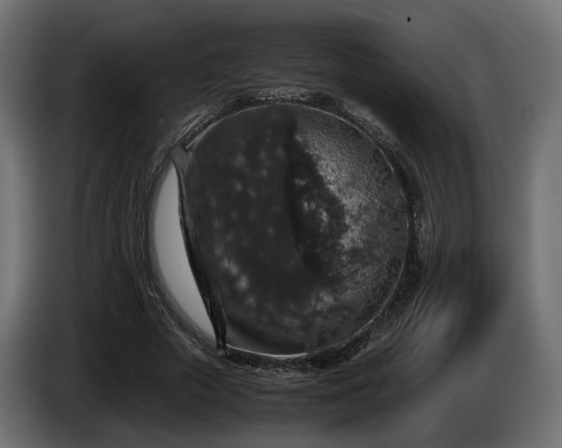 X0000085840729200703231442