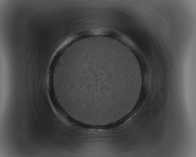 X0000085840730200703231442