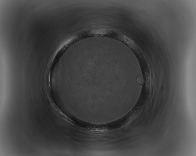X0000085840731200703231442