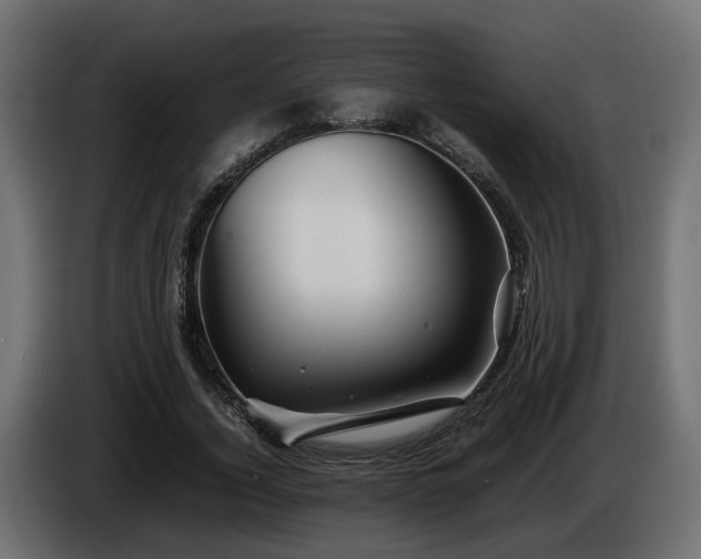 X0000085840732200703231442