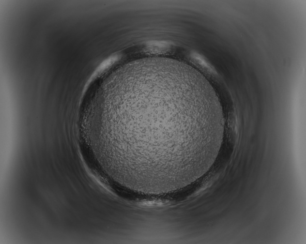 X0000085840734200703231442