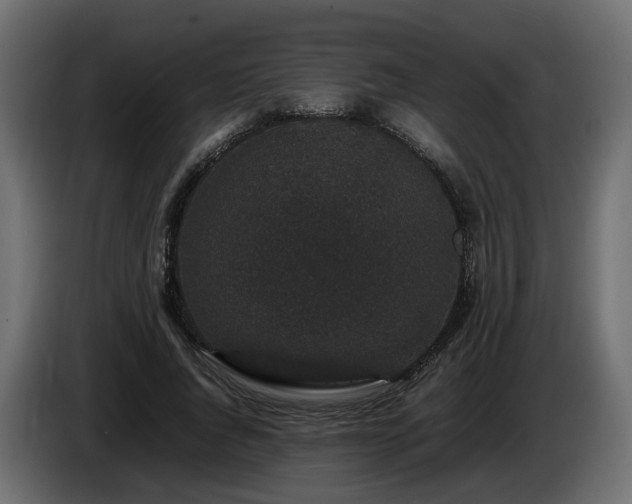 X0000085840736200703231442