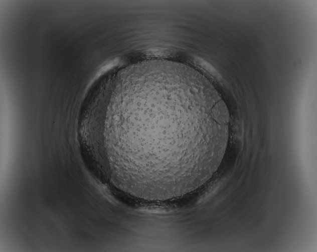 X0000085840738200703231442