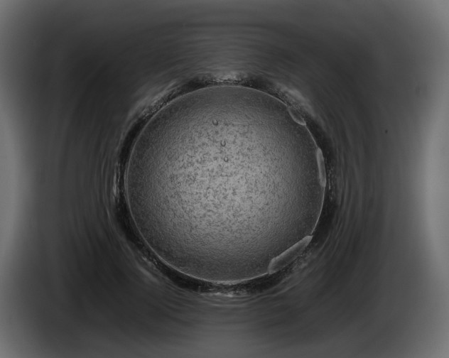 X0000085840740200703231442