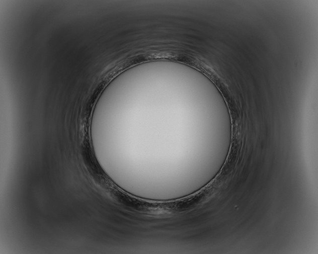 X0000085840741200703231442