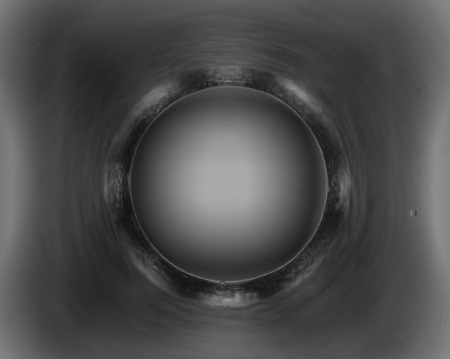 X0000085840744200703231442