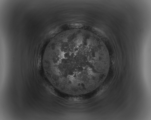 X0000085840745200703231442