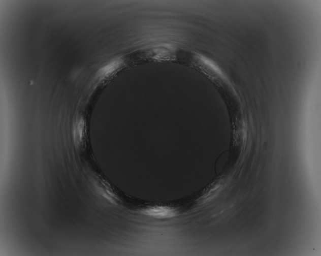 X0000085840748200703231442