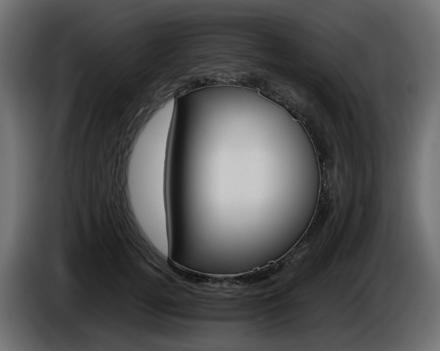 X0000085840752200703231442