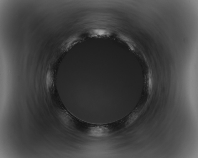 X0000085840754200703231442