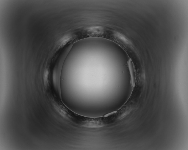 X0000085840756200703231442