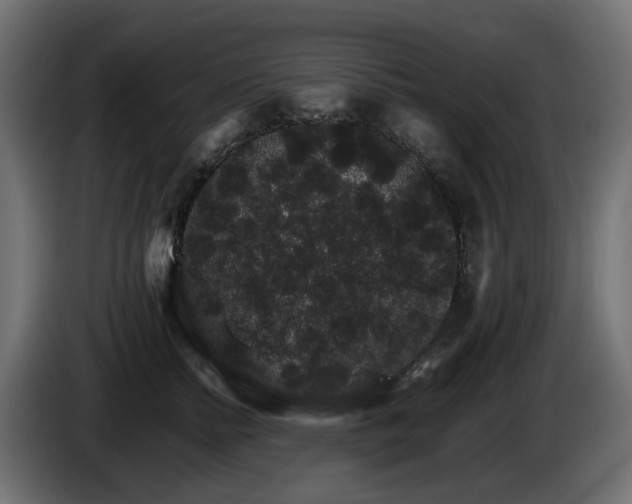 X0000085840758200703231442
