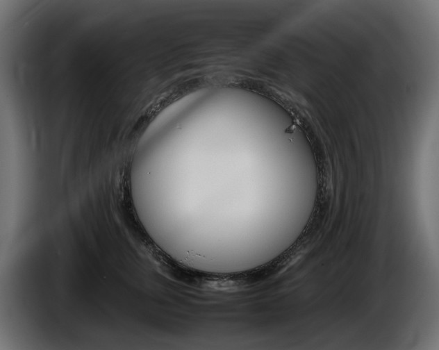 X0000085840759200703231442